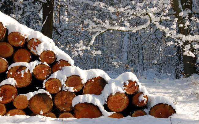 Обои картинки фото природа, зима, брёвна, снег, лес
