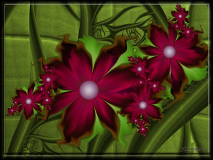 Картинка 3д+графика цветы+ flowers узор фон цвета