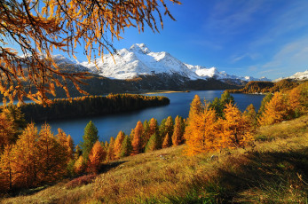 Картинка озерозильс+швейцария природа реки озера деревья осень озеро зильс швейцария