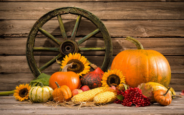 обоя еда, овощи, vegetables, autumn, harvest, pumpkin, still, life, натюрморт, тыква, урожай, осень