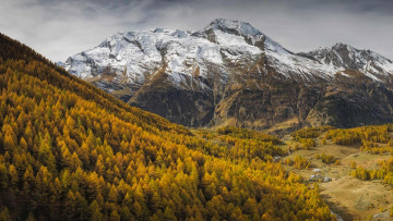Картинка природа горы монт пурри осень деревья франция склон лес гора