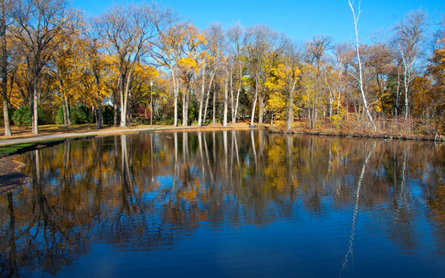 Обои картинки фото природа, реки, озера, деревья, пруд, озеро, осень, парк