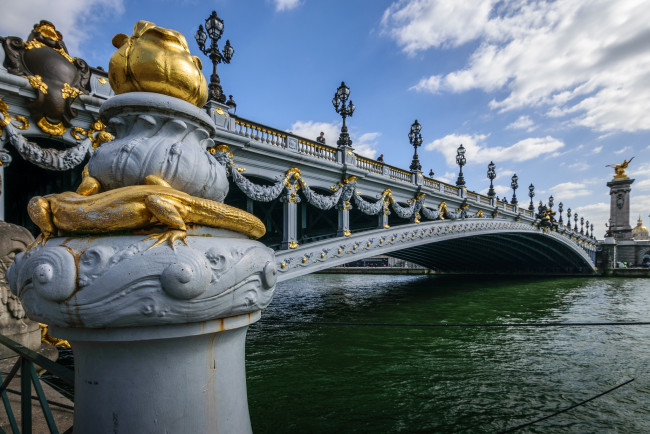 Обои картинки фото pont alexandre iii, города, париж , франция, мост, река