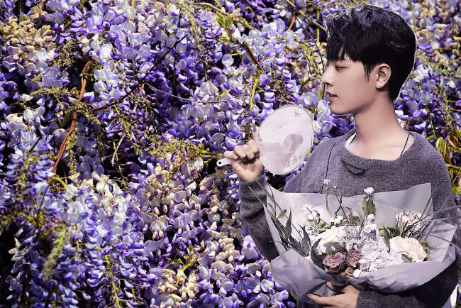 Обои картинки фото мужчины, xiao zhan, актер, цветы, веер, свитер