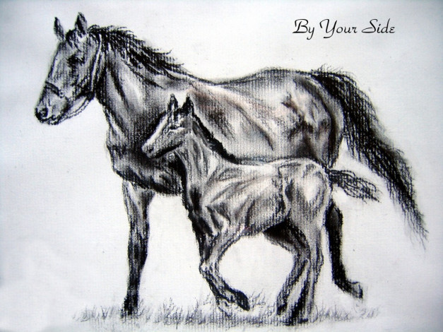 Обои картинки фото рисованные, животные, лошади
