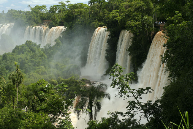 Обои картинки фото iguazu, falls, природа, водопады, потоки, деревья