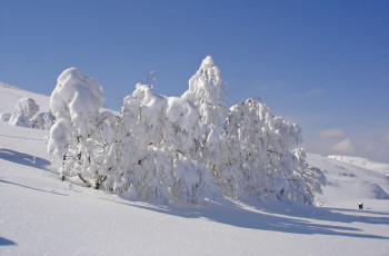 Картинка природа зима сенг небо кусты холм