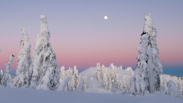 Картинка природа зима снег вершина небо ели солнце