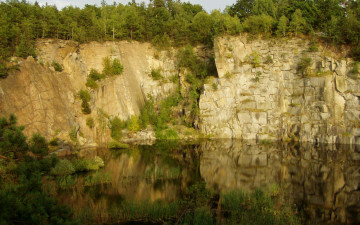 Картинка природа реки озера деревья отражение река