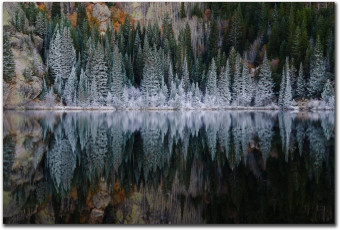 Картинка природа пейзажи озеро иней горы отражение лес ели