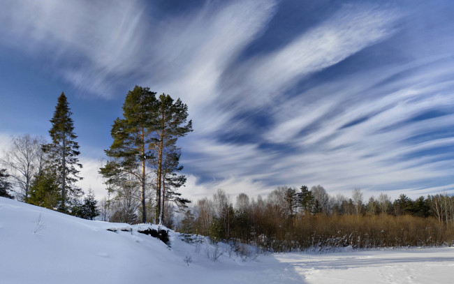 Обои картинки фото природа, зима, небо, снег, деревья