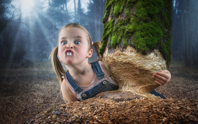 Обои картинки фото юмор и приколы, девочка, дерево, зубы, бобёр