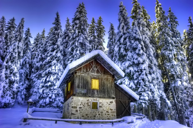 Обои картинки фото природа, зима, снег, дом, лес, швейцария, альпы