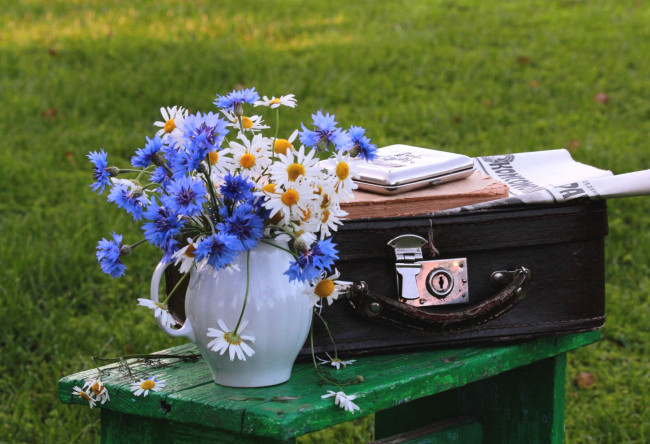 Обои картинки фото цветы, луговые , полевые,  цветы, ромашки, васильки, чемодан