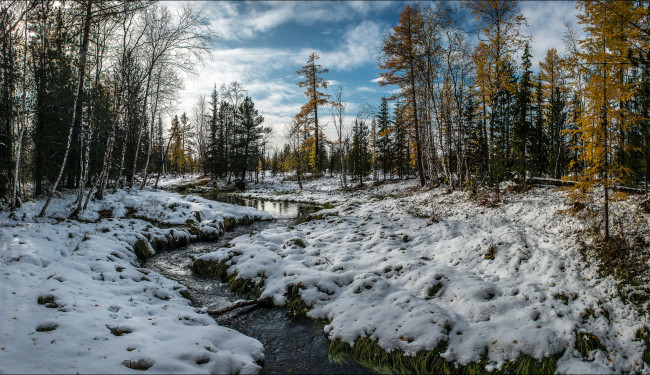 Обои картинки фото природа, зима, река, лес