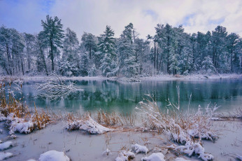 Картинка природа реки озера зима пейзаж лес деревья озеро