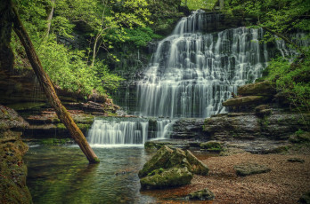 Картинка природа водопады речка деревья лес скалы водопад