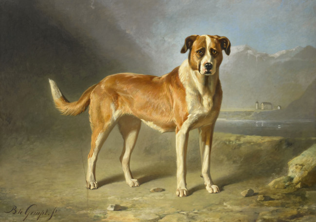 Обои картинки фото рисованное, животные,  собаки, сенбернар, бернард, те, гемпт, масло, картина, собака