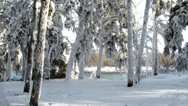 Обои картинки фото природа, зима, река