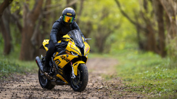 обоя мотоциклы, bmw, желтый, спортбайк, s1000rr, лес, бмв