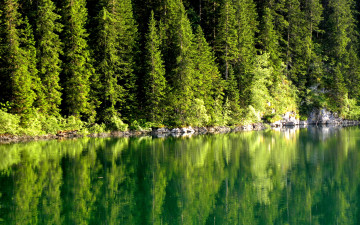 Картинка природа реки озера отражение река деревья