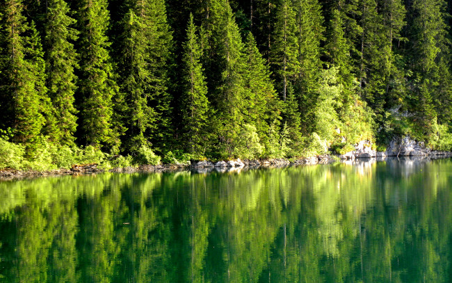 Обои картинки фото природа, реки, озера, отражение, река, деревья