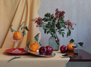 Картинка еда натюрморт сливы мандарины ягоды