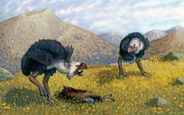 Картинка рисованное животные грифы горы добыча