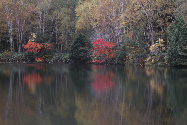Обои картинки фото природа, реки, озера, вода, takaten, осень, утро, деревья