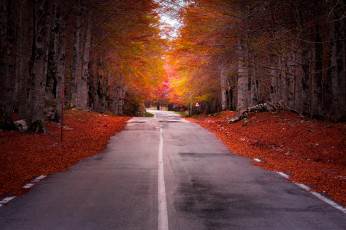 Картинка природа дороги осень дорога лес