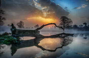 Картинка природа восходы закаты озеро закат деревья