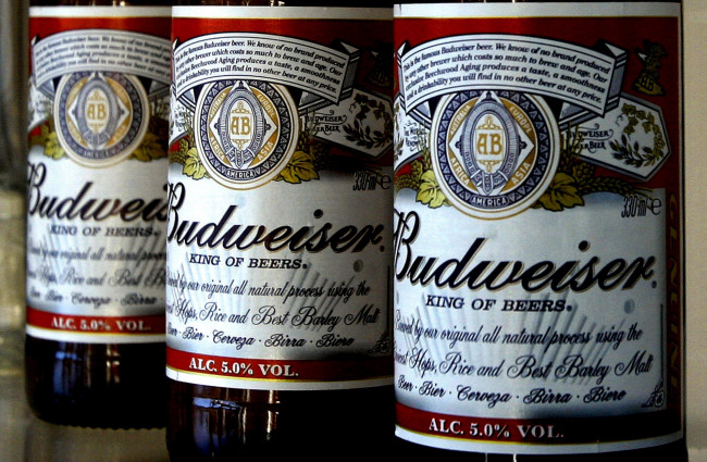 Обои картинки фото бренды, budweiser, пиво