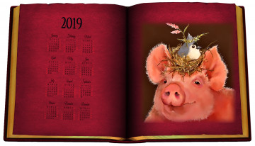 Картинка календари компьютерный+дизайн гнездо свинья птица поросенок книга