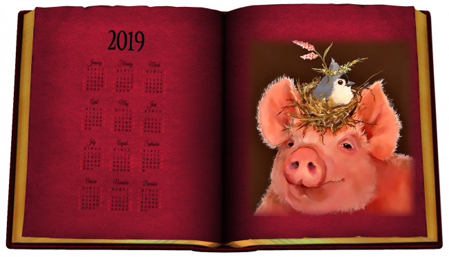 Обои картинки фото календари, компьютерный дизайн, гнездо, свинья, птица, поросенок, книга