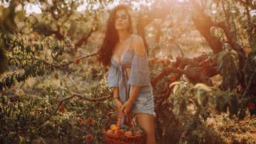 Картинка девушки -unsort+ брюнетки темноволосые красивая девушка спелые персики