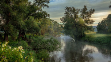 Картинка природа реки озера красота утро деревья река