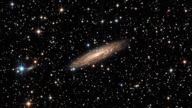 Обои картинки фото космос, галактики, туманности, галактика, ngc, 2613