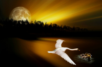 Картинка рисованные животные +птицы утки лебеди ночь