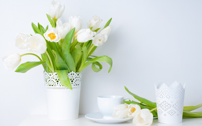 Обои картинки фото цветы, тюльпаны, весна, блюдце, чашка, ваза, листья, белые