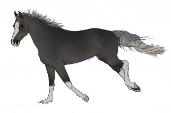 Картинка рисованное животные +лошади взгляд лошадь фон