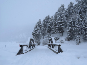 Картинка природа зима лес снег мост