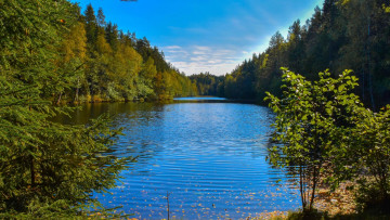 Картинка природа реки озера озеро лес деревья пейзаж