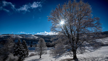 Картинка природа зима снег горы холмы деревья