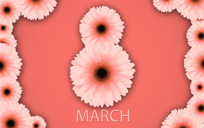 Обои картинки фото 8 марта, праздничные, международный женский день - 8 марта, хризантемы, розовый, весна, счастливый, женский, день, фон, 8, марта