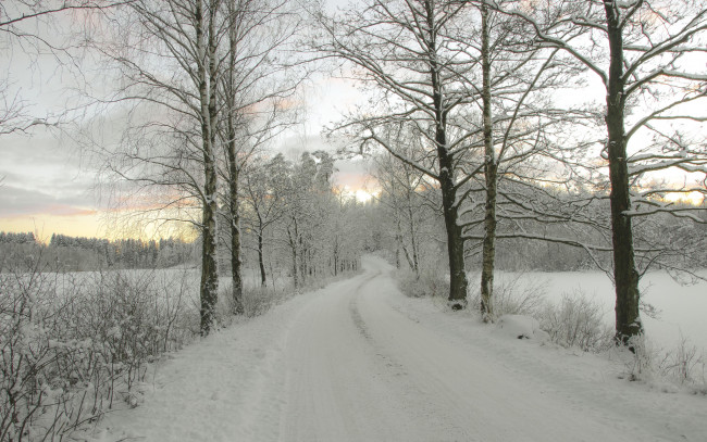 Обои картинки фото природа, дороги, пейзаж, закат, деревья, дорога, зима