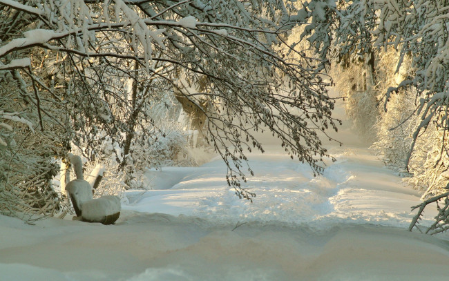 Обои картинки фото природа, зима, скамья, следы, ветки, деревья, снег