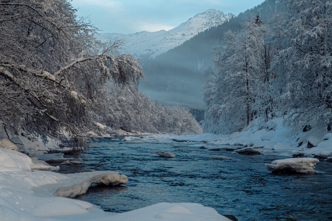 Обои картинки фото природа, реки, озера, альпы, швейцария, река, горы, деревья, снег, лес, зима