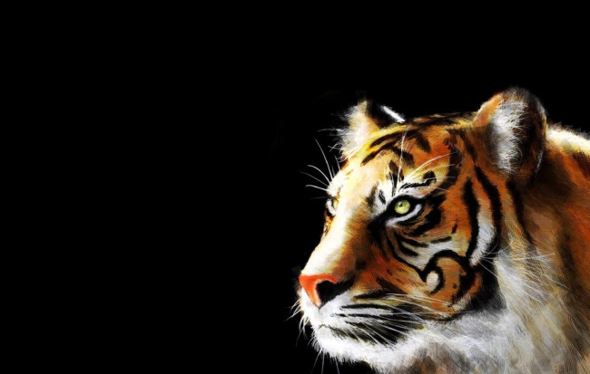 Обои картинки фото рисованное, животные,  тигры, тигр, голова