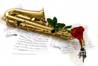 обоя музыка, музыкальные, инструменты, ноты, саксофон, роза
