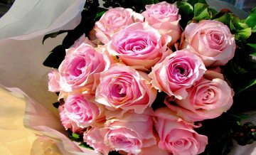 Картинка №594806 цветы розы букет бутоны